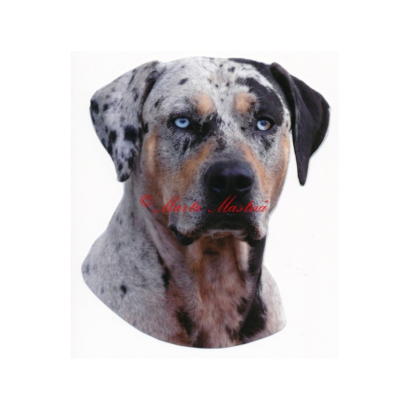 Samolepka louisiana catahoula leopard dog