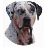 Samolepka louisiana catahoula leopard dog