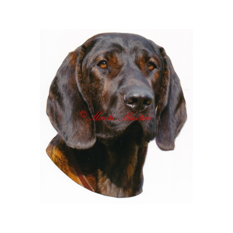 Samolepka barvář hannoverský