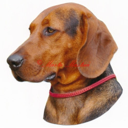 Samolepka srbský honič