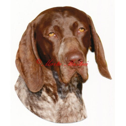 Samolepka německý ohař krátkosrstý