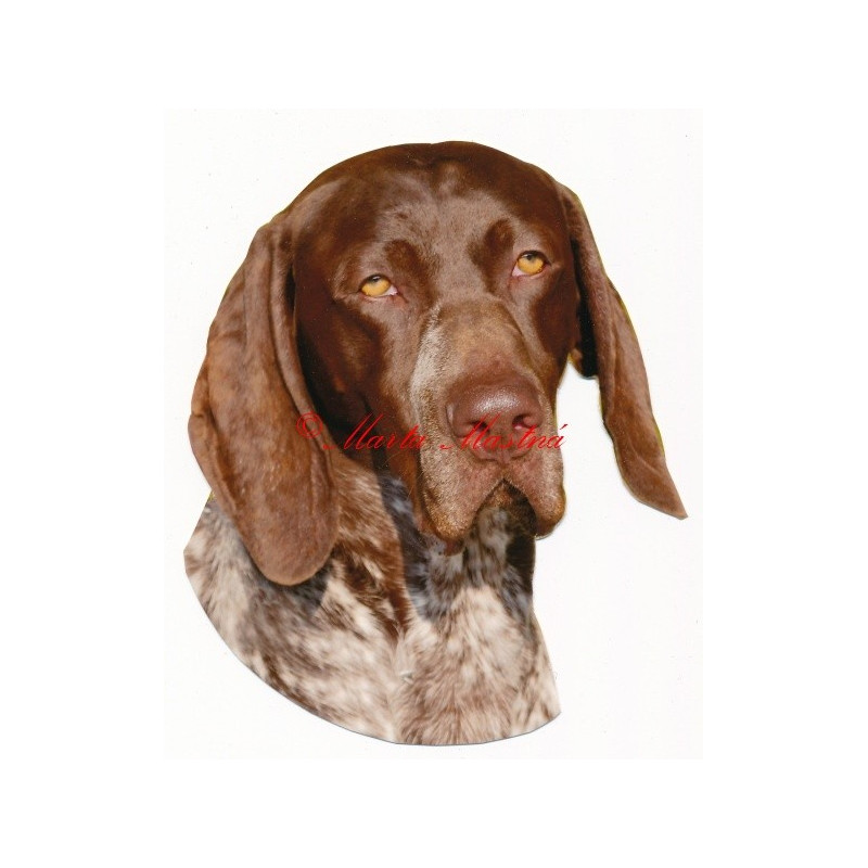 Samolepka německý ohař krátkosrstý