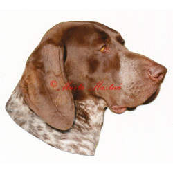 Samolepka německý ohař krátkosrstý