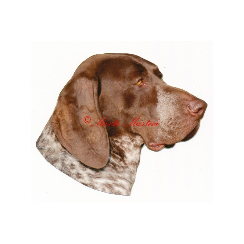 Samolepka německý ohař krátkosrstý