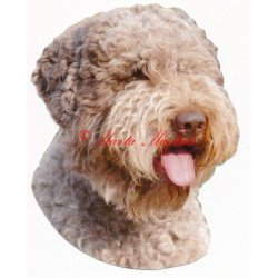 Samolepka lagotto romagnolo