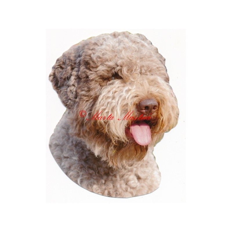 Samolepka lagotto romagnolo