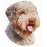 Samolepka lagotto romagnolo