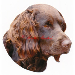 Samolepka německý křepelák