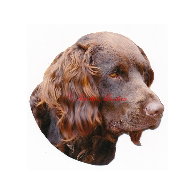 Samolepka německý křepelák