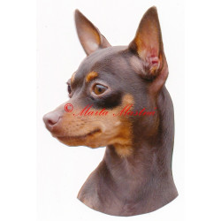 Samolepka pražský krysařík hnědý