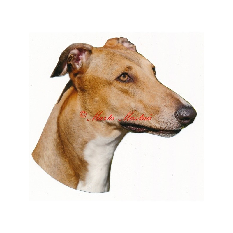 Samolepka greyhound, anglický chrt