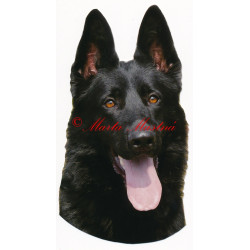 Samolepka německý ovčák