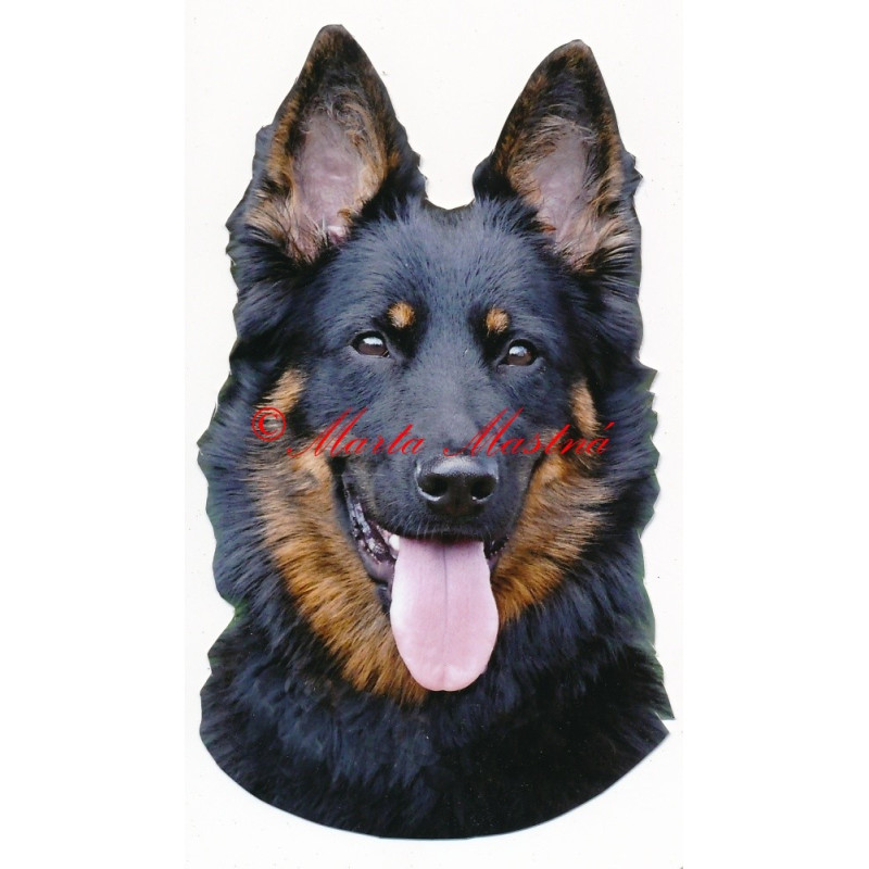 Samolepka chodský pes