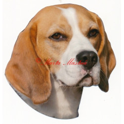 Samolepka bígl, beagle