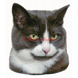 Samolepka kočka britská