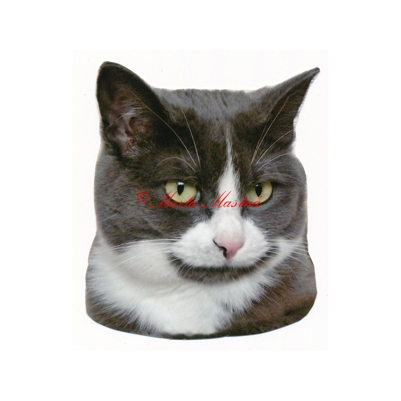 Samolepka kočka britská