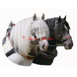 Samolepka českomoravský belgik Agy a Barbar, koně chladnokrevníci