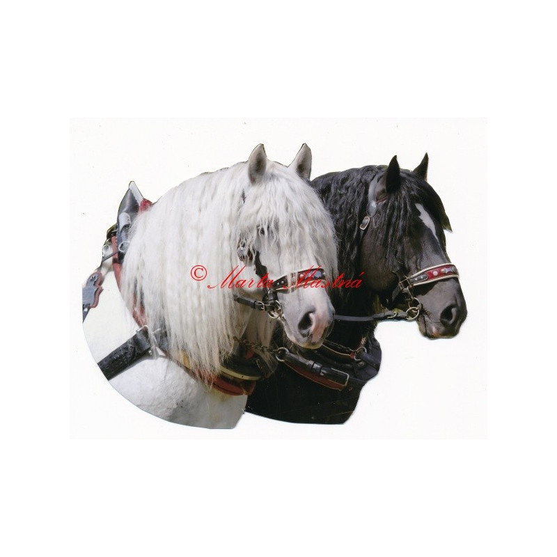 Samolepka českomoravský belgik Agy a Barbar, koně chladnokrevníci