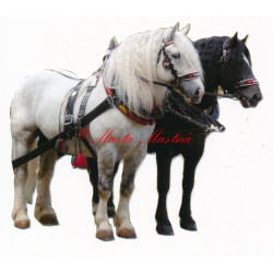 Samolepka českomoravský belgik Agy a Barbar, koně chladnokrevníci