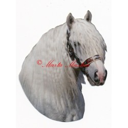 Samolepka českomoravský belgik Agy, kůň, koně chladnokrevníci