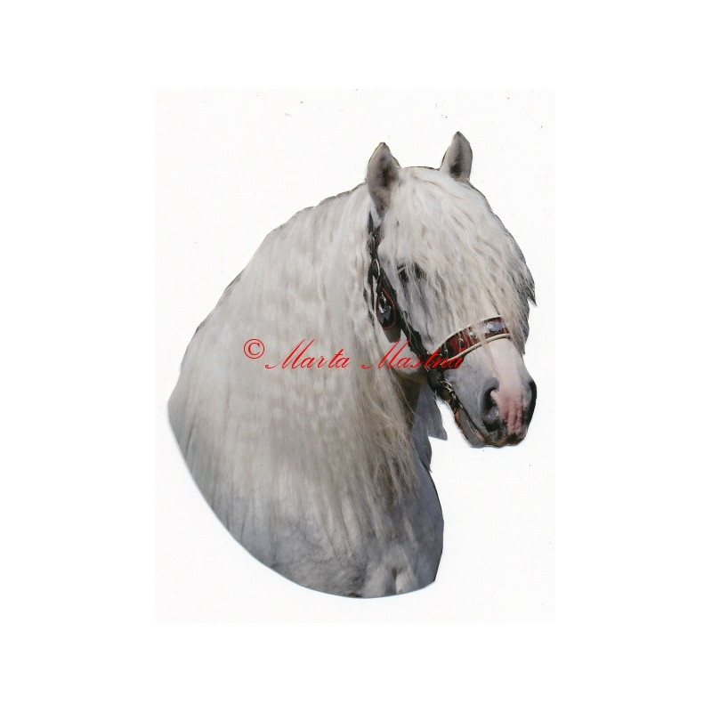 Samolepka českomoravský belgik Agy, kůň, koně chladnokrevníci