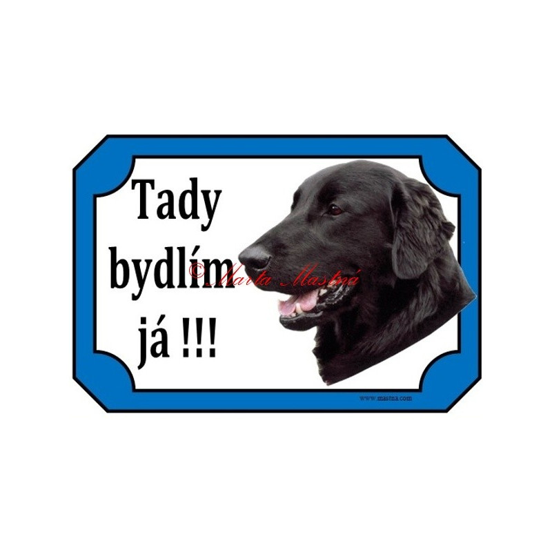 Tabulka flat coated retrívr