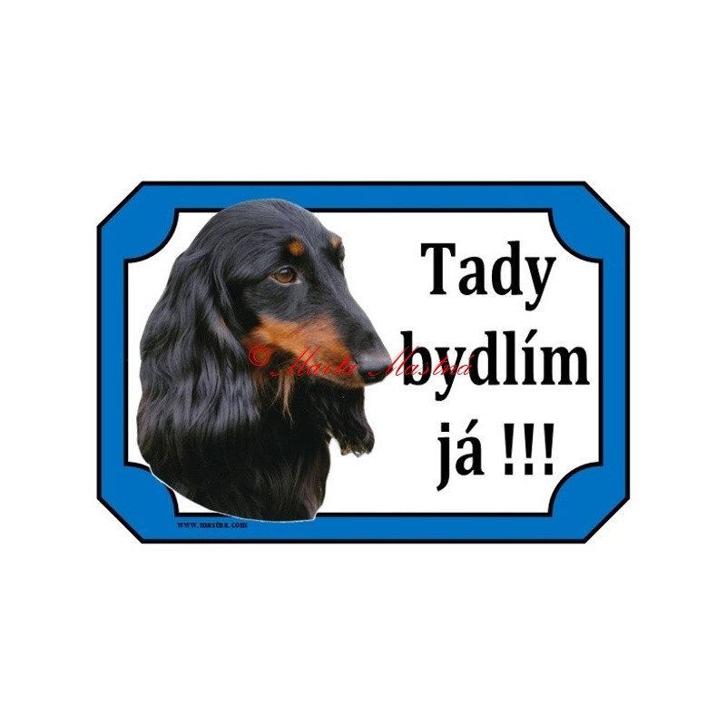 Tabulka jezevčík dlouhosrstý