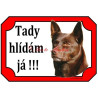 Tabulka australská kelpie
