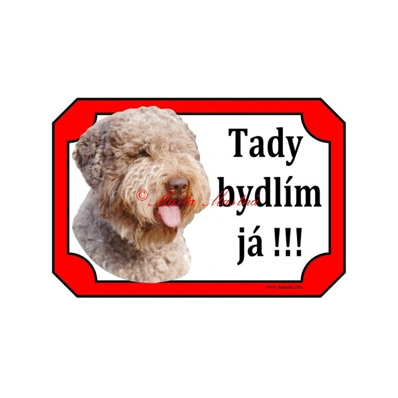 Tabulka lagotto romagnolo