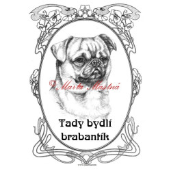 Tabulka brabantík, brabantský grifonek