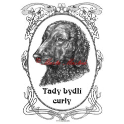 Tabulka curly coated retrívr