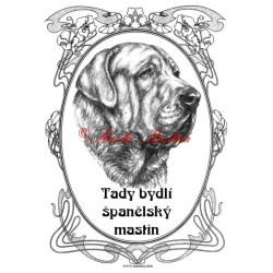 Tabulka španělský mastin