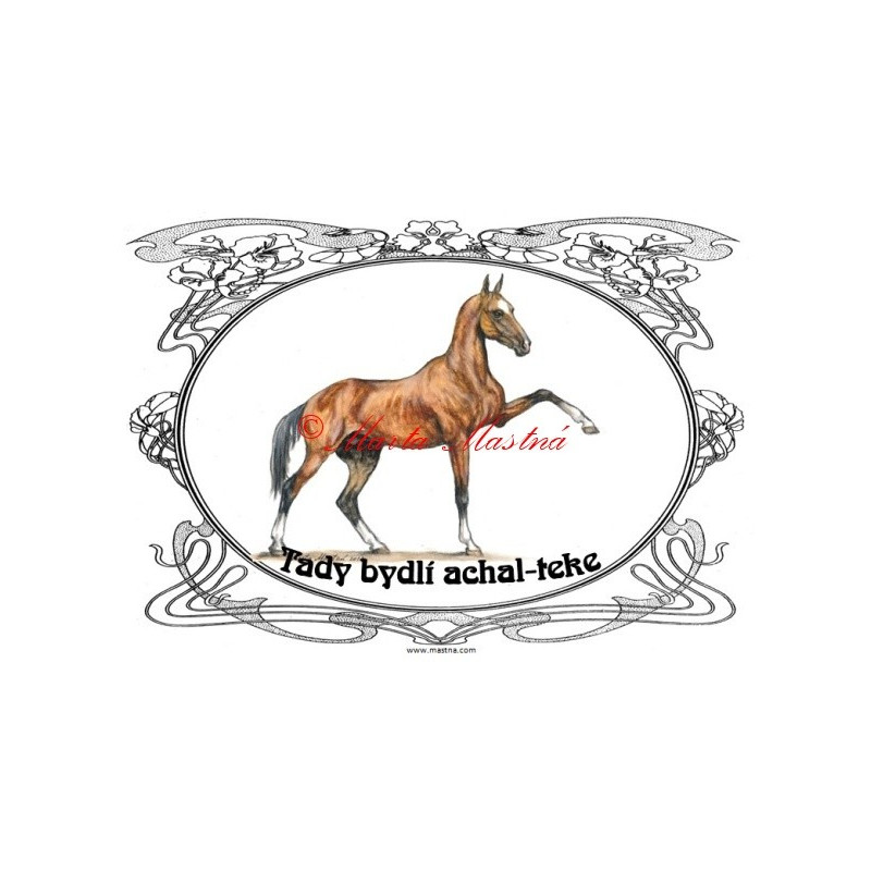 Tabulka achaltekinec, achal teke, kůň, koně