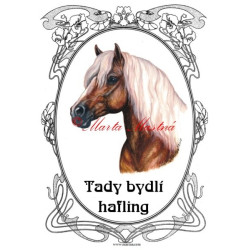 Tabulka hafling, kůň, koně