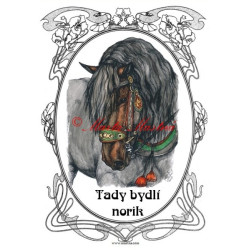 Tabulka norik, slezský norik, chladnokrevník, kůň, koně