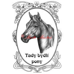 Tabulka minihorse, pony, kůň, koně