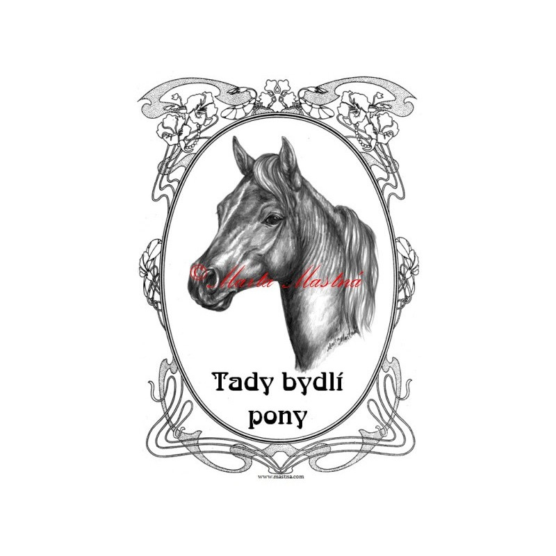 Tabulka minihorse, pony, kůň, koně