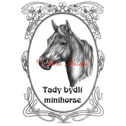 Tabulka minihorse, pony, kůň, koně