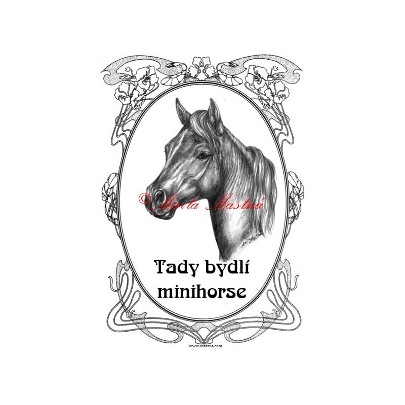 Tabulka minihorse, pony, kůň, koně