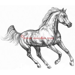 Samolepka arabský plnokrevník, kůň, koně
