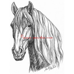 Samolepka frís, kůň, koně