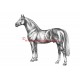 Samolepka teplokrevník, Furioso II., kůň, koně