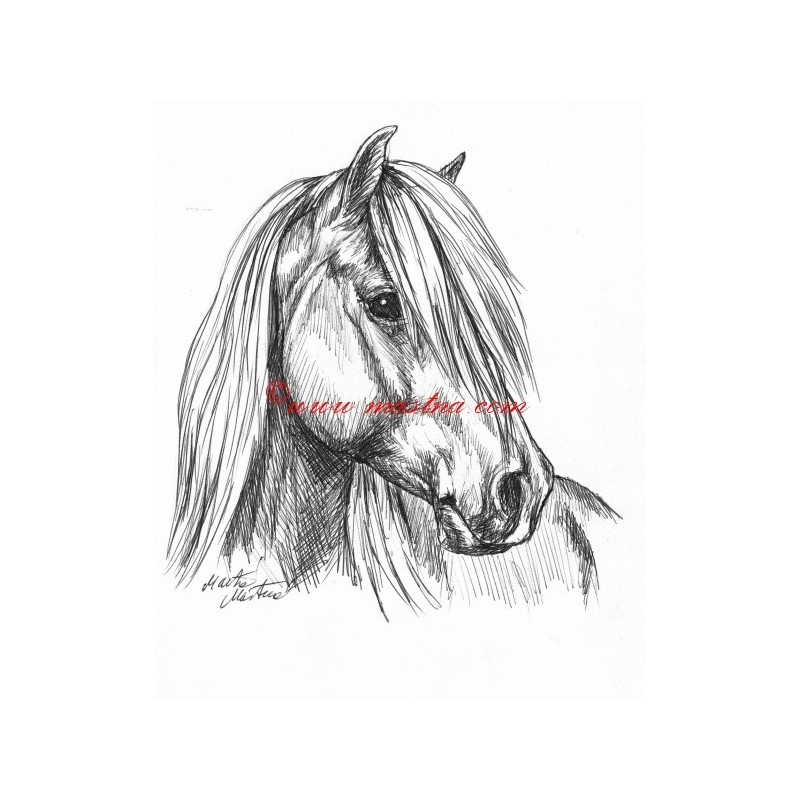 Samolepka pony, kůň, koně