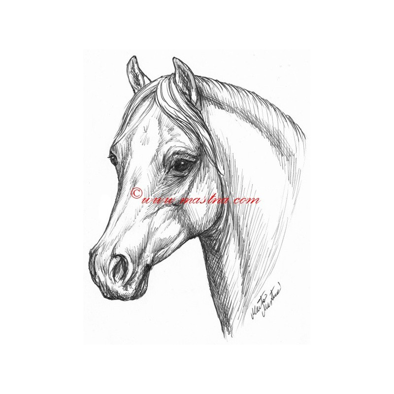 Samolepka welshpony, velšpony, kůň, koně