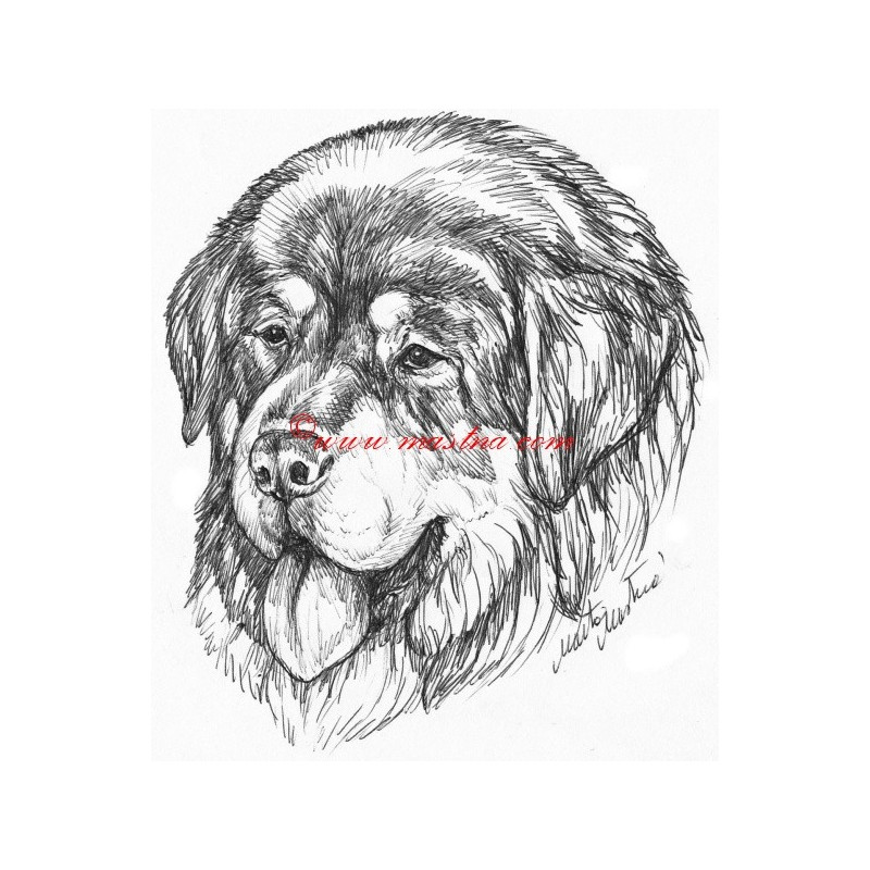 Samolepka tibetská doga