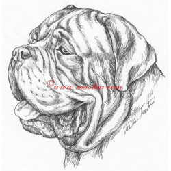 Samolepka bordeauxská doga