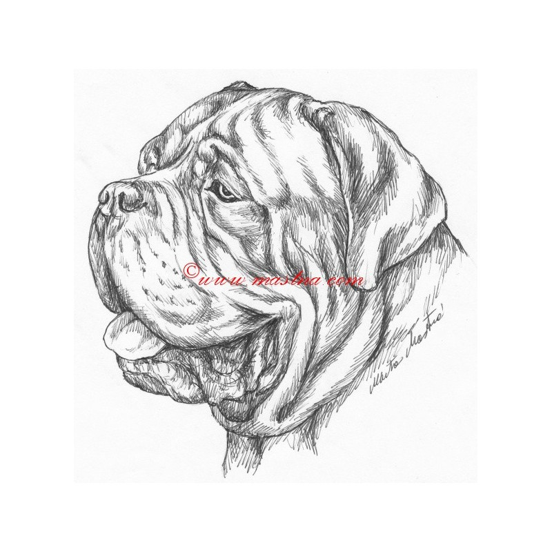 Samolepka bordeauxská doga
