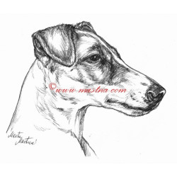 Samolepka foxteriér hladkosrstý