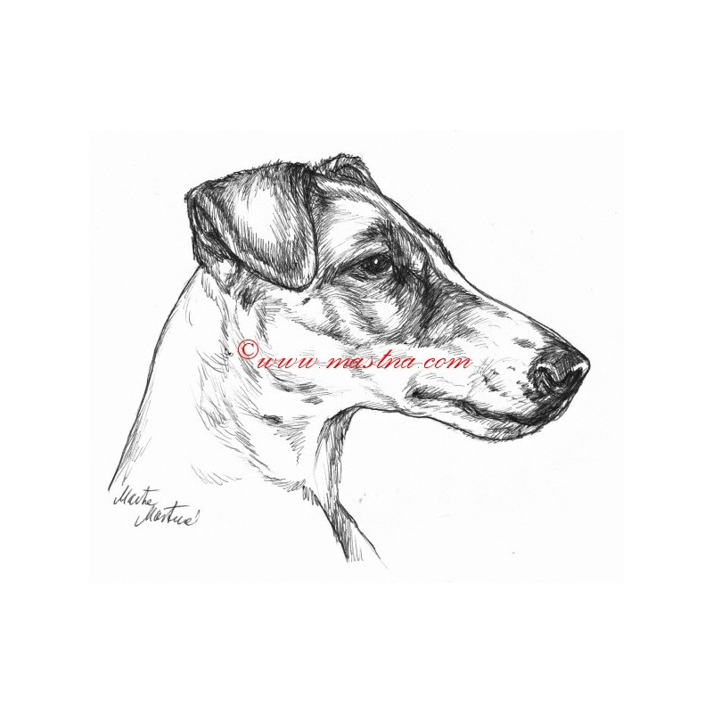 Samolepka foxteriér hladkosrstý