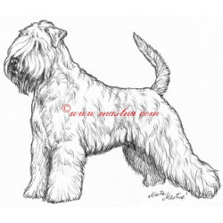 Samolepka soft coated, pšeničný teriér